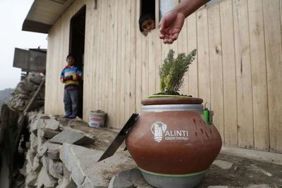 Alinti, el macetero que da luz y energía en base a plantas y microorganismos - Tecnología - ABC Color