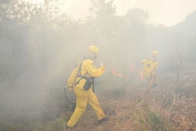 Lluvia ayudó a extinguir los focos de incendio en el Parque Nacional Caazapá - Nacionales - ABC Color