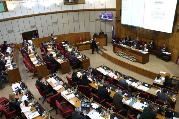 Ley de autoblindaje pasa al archivo