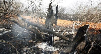 Gobierno de Bolivia vuelve a descartar emitir declaración de desastre por incendios | .::Agencia IP::.