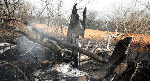 Gobierno de Bolivia vuelve a descartar emitir declaración de desastre por incendios | .::Agencia IP::.