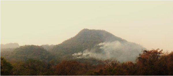 Fuego en tierras ancestrales, sin asistencia de INDI ni SEN