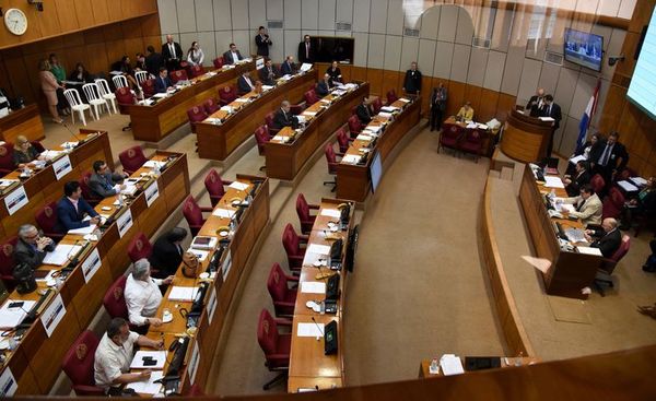 Senado envió al archivo la ley de autoblindaje parlamentario - Nacionales - ABC Color