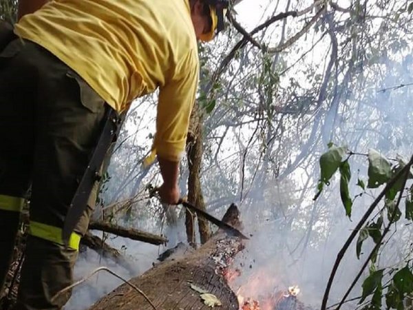 Bomberos extinguen incendio en Parque Nacional de Caazapá