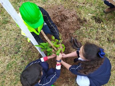 Niños plantan árboles dentro del proyecto Corredor Vial Botánico