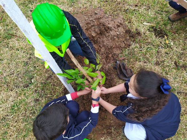 Niños plantan árboles dentro del proyecto Corredor Vial Botánico