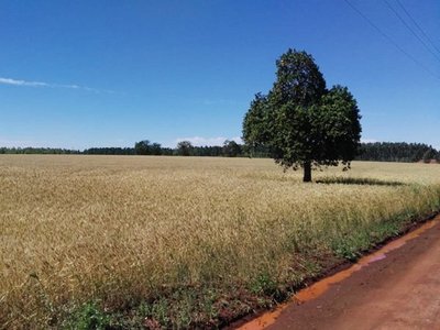 Productores se manifiestan a favor y en contra de Friedmann en el MAG