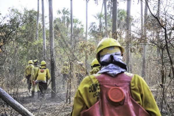 Ultimo reporte menciona importante disminución de los focos de calor y leve lluvia en el Chaco