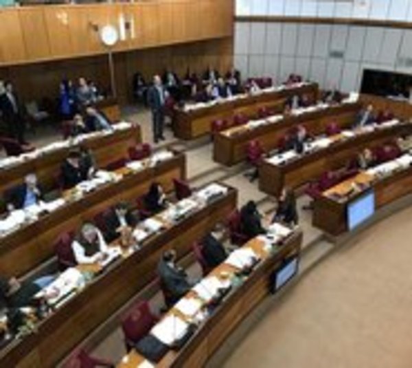 Senadores acatan a Ejecutivo y rechazan ley de autoblindaje - Paraguay.com