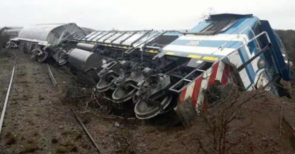 Tren chocó contra una vaca y sus siete vagones volcaron