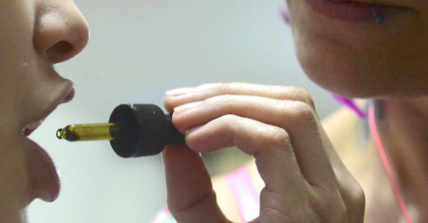 Senado aprueba el uso medicinal del cannabis