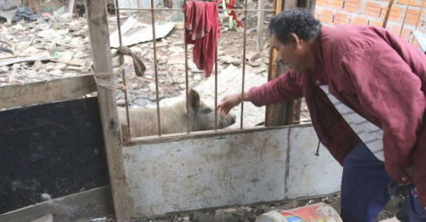 Recicladores ikuerái ya de  que les roben sus chanchos