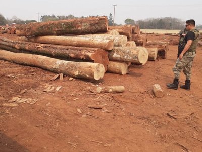 Constatan depredación ambiental en una reservas