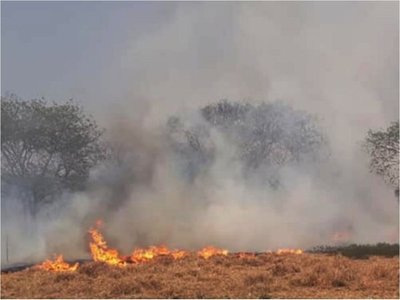 Salud  insta a protegerse contra los efectos de los incendios forestales