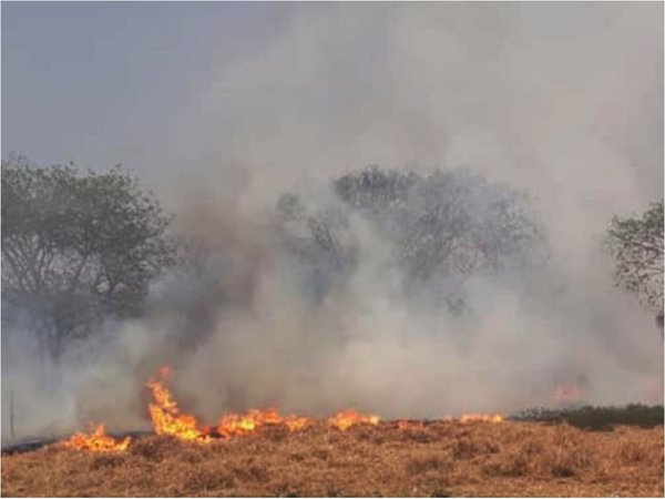 Salud insta a protegerse contra los efectos de los incendios forestales