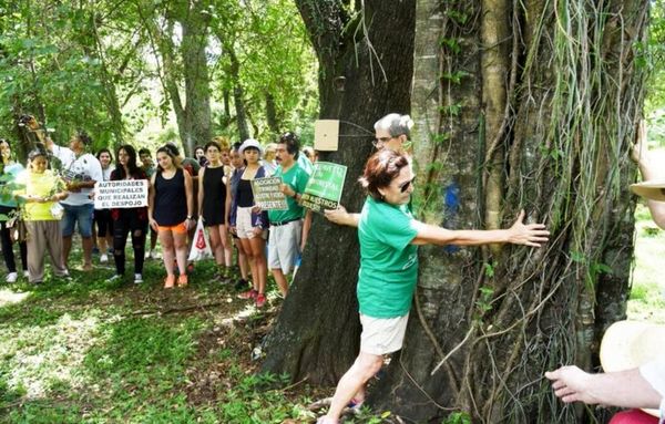 Quieren salvar 164 árboles antes de obras del Botánico - Locales - ABC Color