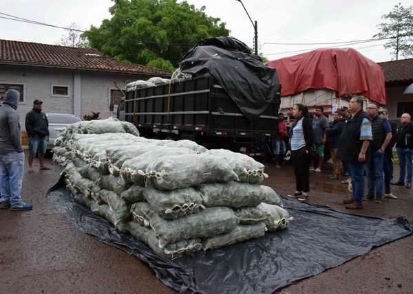 Confirman contrabando en convoy de camiones