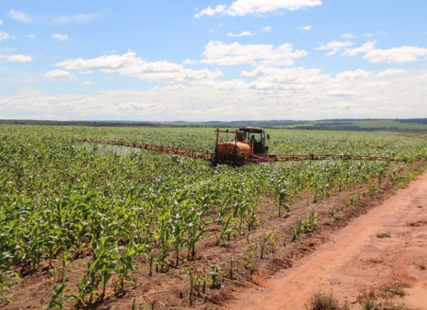 Coordinadora Agrícola del Paraguay molesta por el manoseo a un ministerio emblemático