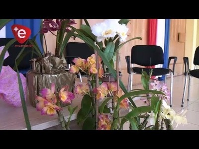 3RA. EXPO ORQUÍDEAS Y FLORES, ESTE FIN DE SEMANA EN NUEVA ALBORADA