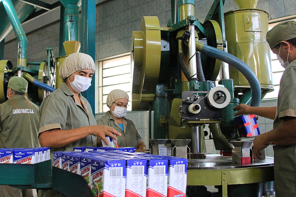 Exportación de yerba llega a Europa y Asia