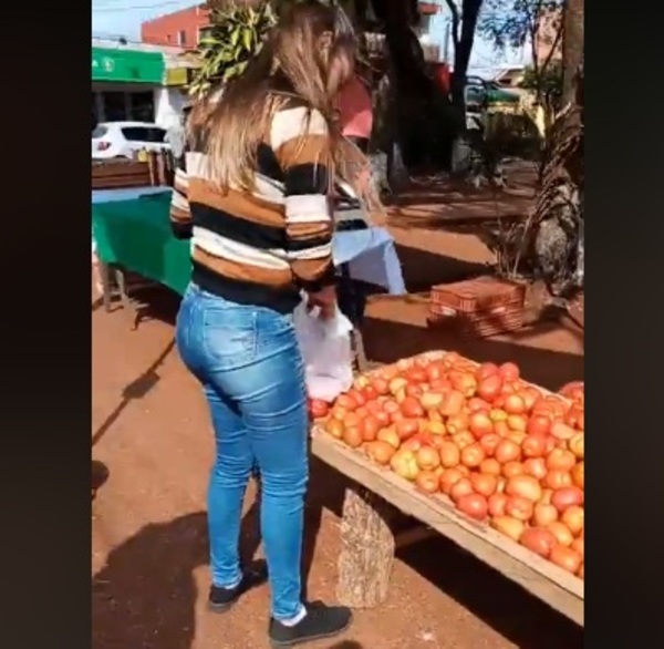 Comienza feria de tomate en Ciudad Nueva