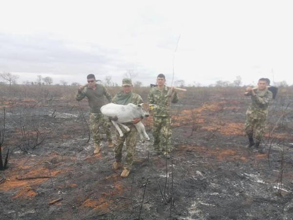 Reportan disminución de focos de incendios en el país - ADN Paraguayo