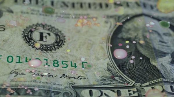 Las bacterias en el dinero, la pizza como medicina y otros experimentos locos  - Ciencia - ABC Color