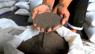 Industria nacional concretó la exportación de 400 toneladas de chía a EE.UU y proyecta incursionar en el mercado alemán