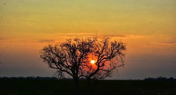 Viernes con cielo despejado para el sur - Digital Misiones