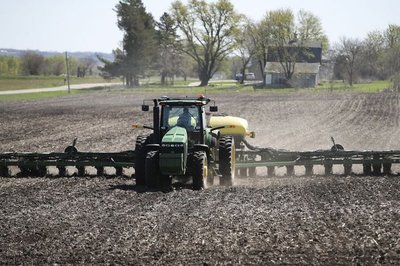 Guerra comercial: China eximirá de aranceles al cerdo y a la soja de los Estados Unidos