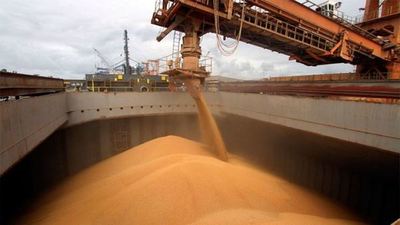Paraguay exportó soja por USD 1.411 millones a agosto