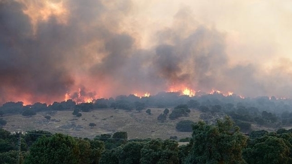 Ejecutivo analiza propuesta para brindar créditos a colonos afectados por el incendio que se registró en San Pedro