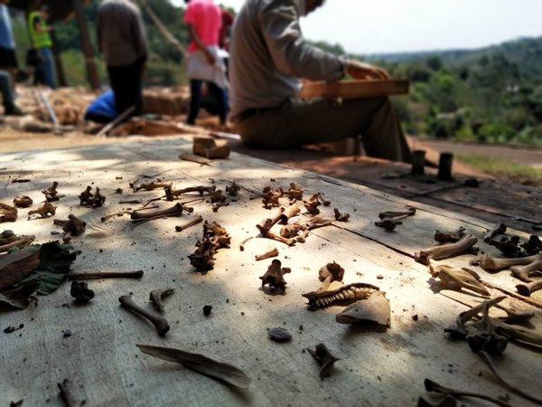 Hallazgo de más restos óseos alerta a ocupantes en propiedad de Stroessner