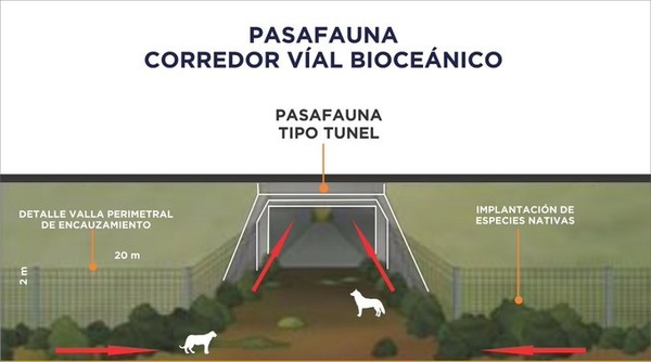 Pasafaunas en la ruta Bioceánica