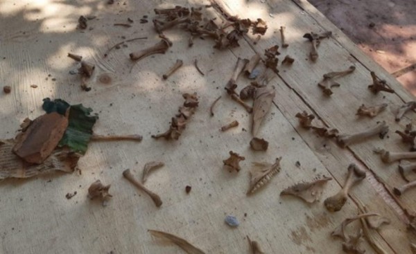 Mas restos óseos encontrados en "Casa del Terror"