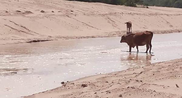 El 30% de las aguas del Pilcomayo ingresan por el nuevo canal Meyer