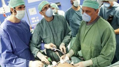 Una nueva técnica permite alargar la preservación de hígados para trasplantes  - Tecnología - ABC Color