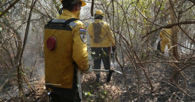 La lluvia ayudó mucho a parar los incendios