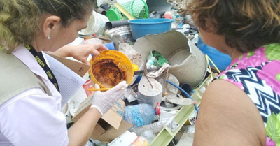 Podría venir una epidemia de dengue peor