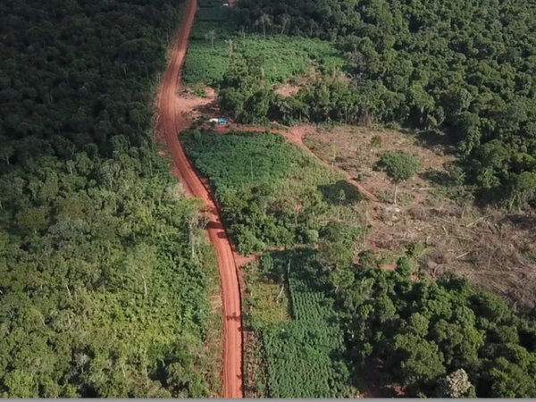 Devastación en  reserva Morombí contaminará el Acuífero Guaraní