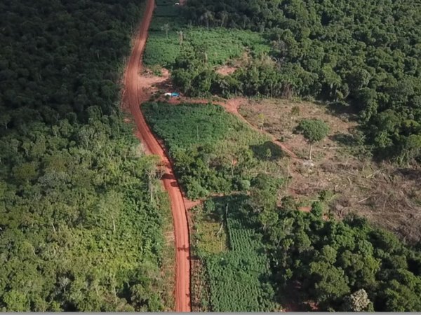 Devastación en reserva Morombí contaminará el Acuífero Guaraní