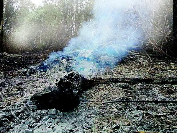 Solo quedan 22 focos de calor, el riesgo de incendios es bajo y se suman aviones