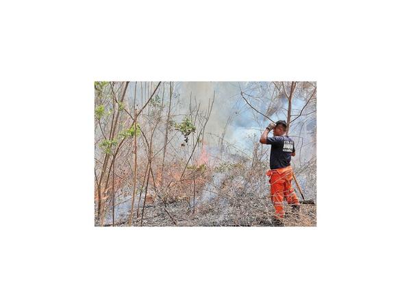 EEUU y Brasil desarrollarán el sector privado en la Amazonia