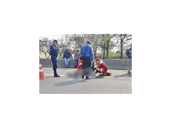 Un anciano fallece atropellado en la ruta