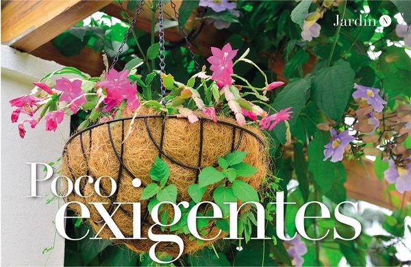 Poco exigentes - Nosotras Revista - ABC Color