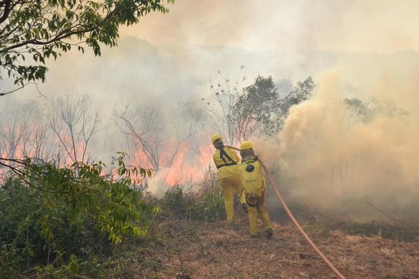 Abrirán cortafuegos en frontera con Bolivia para frenar incendios - Nacionales - ABC Color