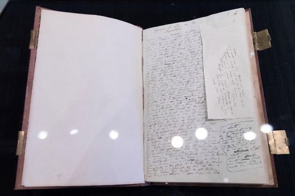 Humboltd, “el segundo descubridor de América”, precursor de un mundo más abierto - Ciencia - ABC Color