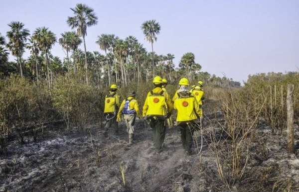 HOY / Paraguay y Bolivia abrirán cortafuegos en la frontera para frenar incendios