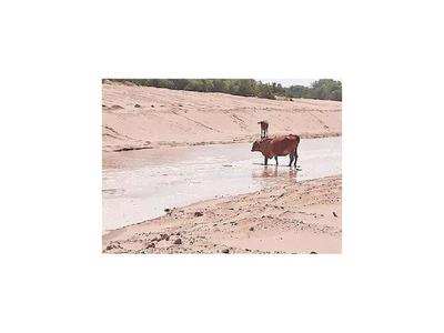Pilcomayo: El 30% de aguas  ingresan al canal paraguayo