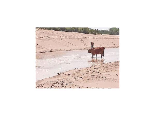 Pilcomayo: El 30% de aguas ingresan al canal paraguayo